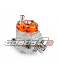 ESCAPE STAGE6 R/T FL 100CC MALOSSI C-ONE / RC-ONE