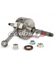 CIGÜEÑAL STAGE6 R/T 100FL C.47