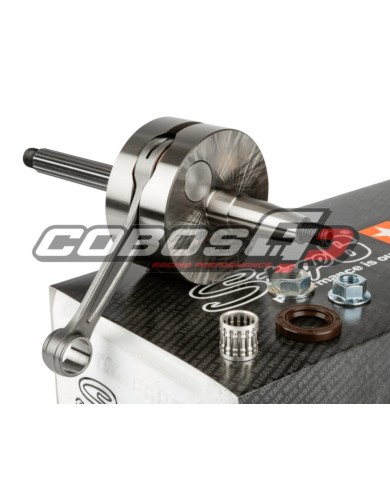 CIGÜEÑAL STAGE6 R/T 100FL C.47