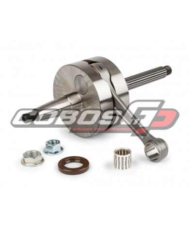 CIGÜEÑAL STAGE6 R/T 100FL C.47