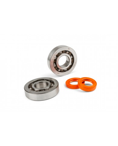 JUEGO DE COJINETES DE CIGÜEÑAL STAGE6 R/T C4 JAULA DE POLÍMERO PIAGGIO