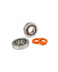 JUEGO DE COJINETES DE CIGÜEÑAL STAGE6 R/T C4 JAULA DE POLÍMERO PIAGGIO