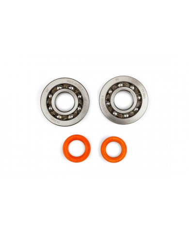 JUEGO DE COJINETES DE CIGÜEÑAL STAGE6 R/T C4 JAULA DE POLÍMERO PIAGGIO