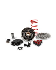 POLEA VARIADOR POLINI EVOLUTION 3, ALUMINIO Y CERÁMICA, MINARELLI