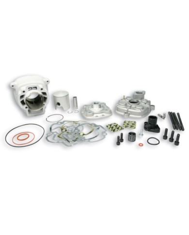 CILINDRO MALOSSI PIAGGIO