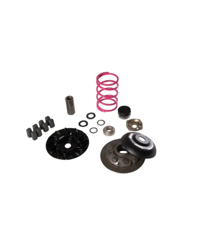 VARIADOR YASUNI HP RACE 100 CC EJE 16 mm