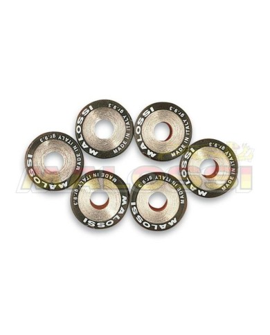 KIT DE RODILLOS MALOSSI 16x13mm 4.1 gr