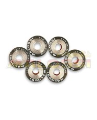 KIT DE RODILLOS MALOSSI 16x13mm 4.1 gr