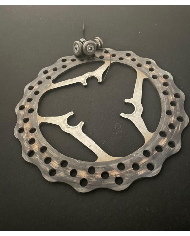 DISCO DE FRENO DELANTERO POLINI FLOTANTE 220 USADO