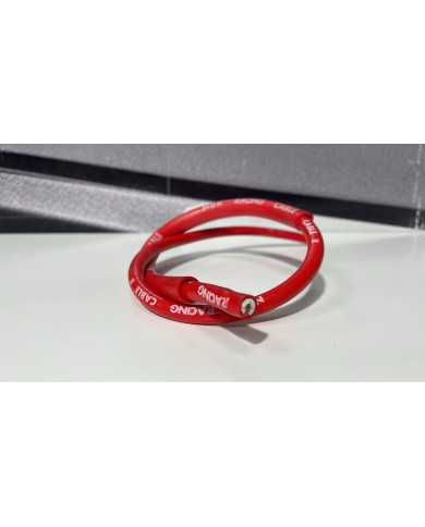 CABLE PIPA NGK ROJO ANTIDESPARASITARIO