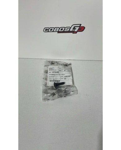 TORNILLOS DE PIAGGIO ORIGINALES CON CASQUILLO