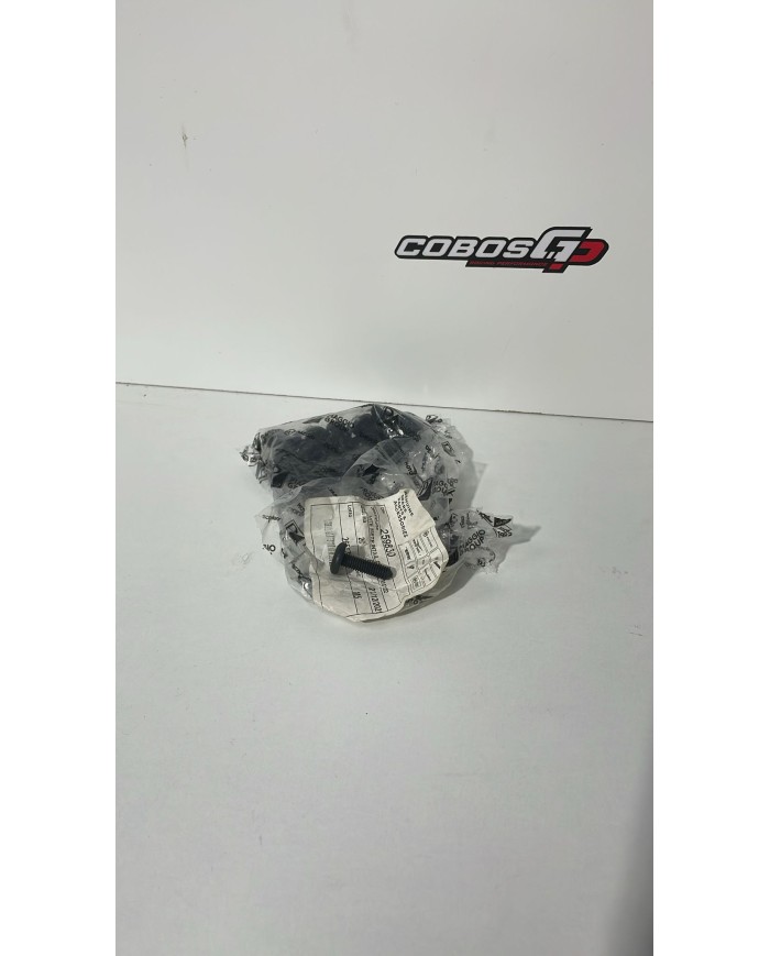 TORNILLOS ORIGINALES DE PIAGGIO SIN CASQUILLO