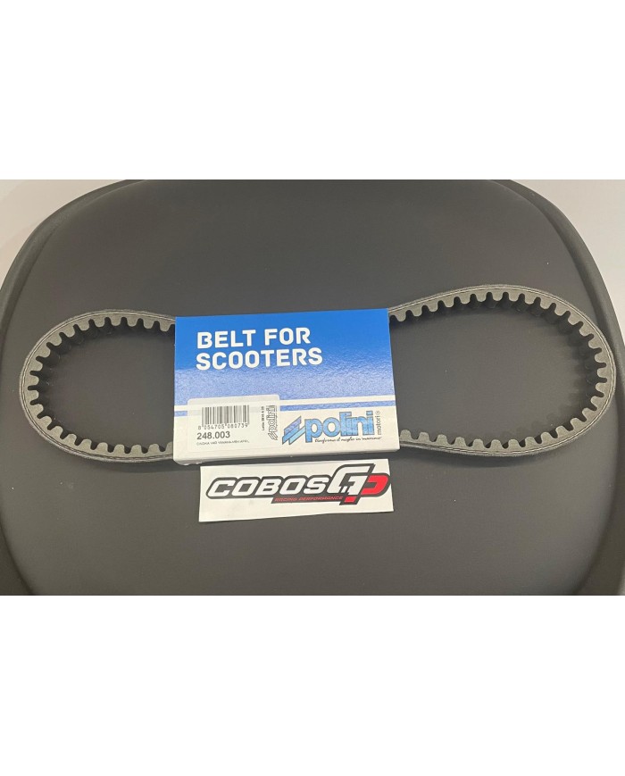 CORREA POLINI TIPO ORIGEN