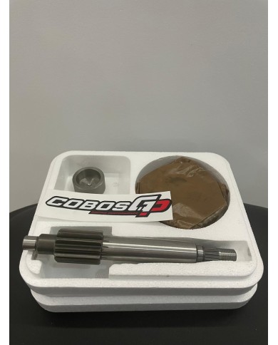 TRANSMISIÓN PRIMARIA POLINI 13/44 MINARELLI