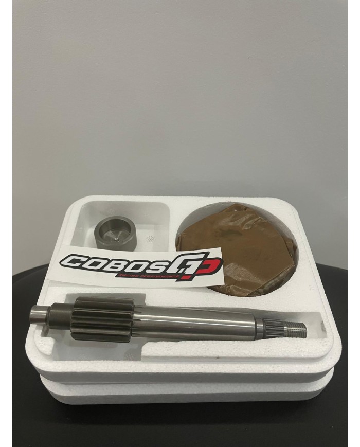 TRANSMISIÓN PRIMARIA POLINI 13/44 MINARELLI