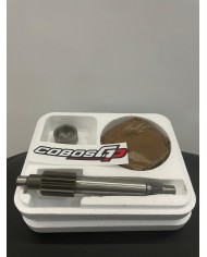 TRANSMISIÓN PRIMARIA POLINI 13/44 MINARELLI