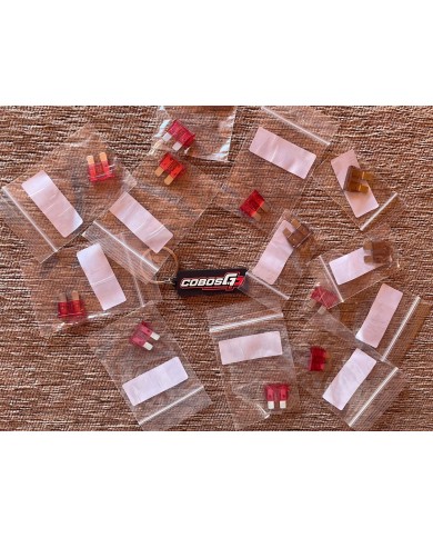 FUSIBLE 10 A Y 7.5 A