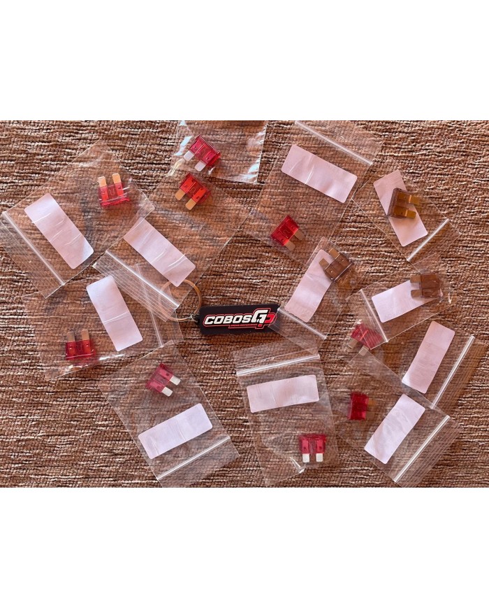 FUSIBLE 10 A Y 7.5 A