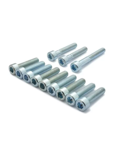 JUEGO DE TORNILLOS TAPA DE CÁRTER YAMAHA JOG AEROX MINARELLI